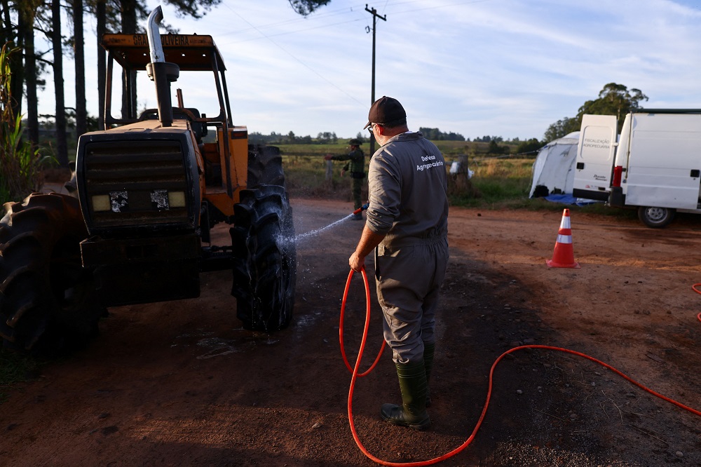 agricultores-e-autoridades-intensificam-controles-onde-gripe-aviaria-foi-registrada