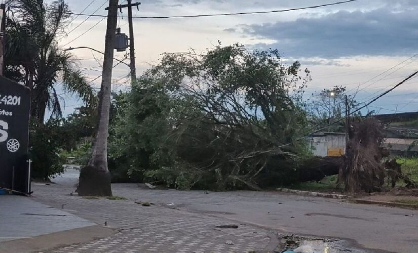 mais-de-100-mil-imoveis-ficam-sem-luz-em-sao-paulo-apos-forte-ventania,-diz-enel