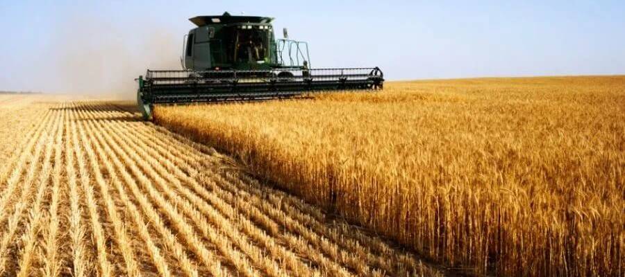 pib-do-brasil-perde-forca-e-sobe-0,1%;-agro-sustenta-crescimento
